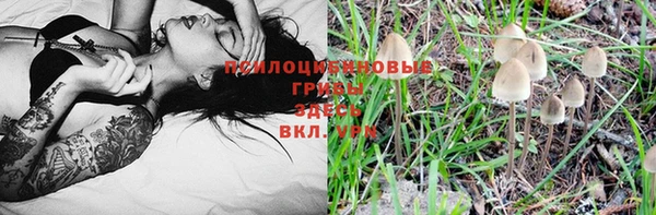 бошки Балахна