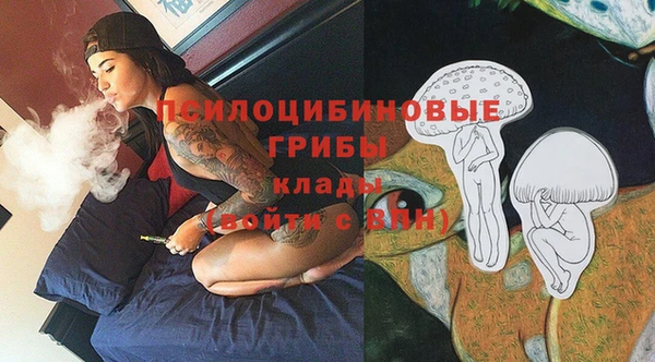 бошки Балахна