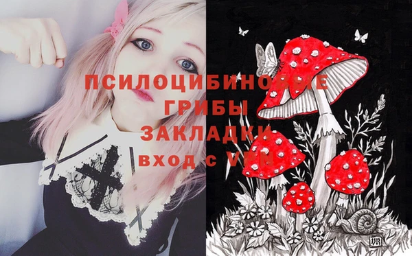 бошки Балахна