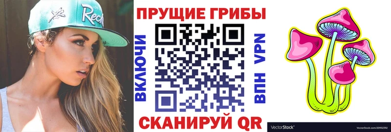 где купить наркоту  Купино  Псилоцибиновые грибы ЛСД 